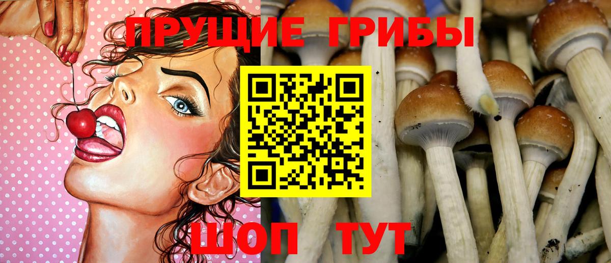 Псилоцибиновые грибы Psilocybine cubensis  Вход с VPN  Гусь-Хрустальный  Галлюциногенные грибы Psilocybine cubensis 