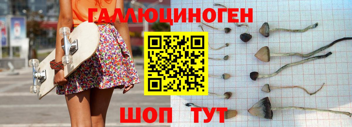 Галлюциногенные грибы MAGIC MUSHROOMS Гусь-Хрустальный